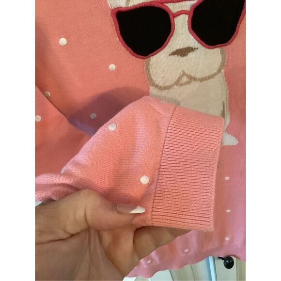 Talbots Plus Dog Frenchie Print Sweater Sz 1X Embroidered Polka Dots - Picture 5 of 8